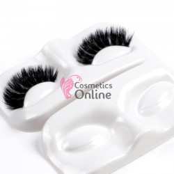 Suport de prezentare pentru expunere gene banda sau practica 3D Cod SB01